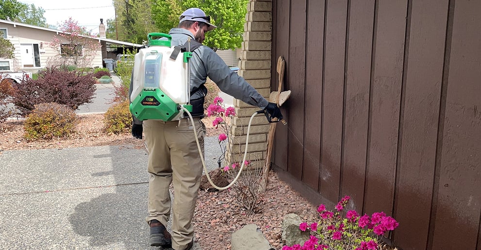 Pest Control Services In Maine The Turf Doctor